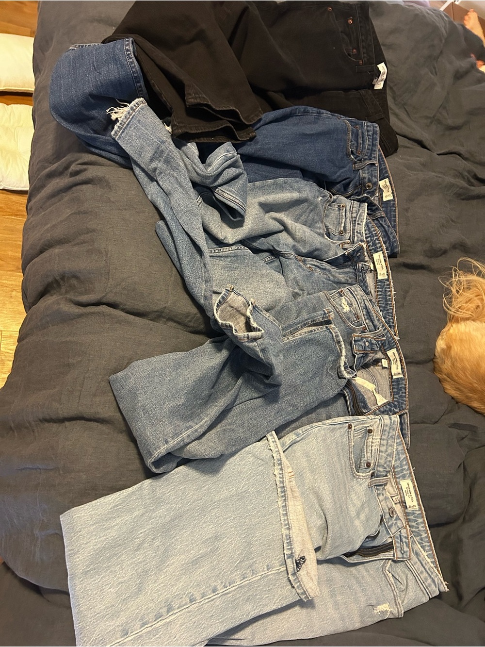 Bundle of 5 Pairs of Abercrombie Size 27 “Curve Love” Jeans